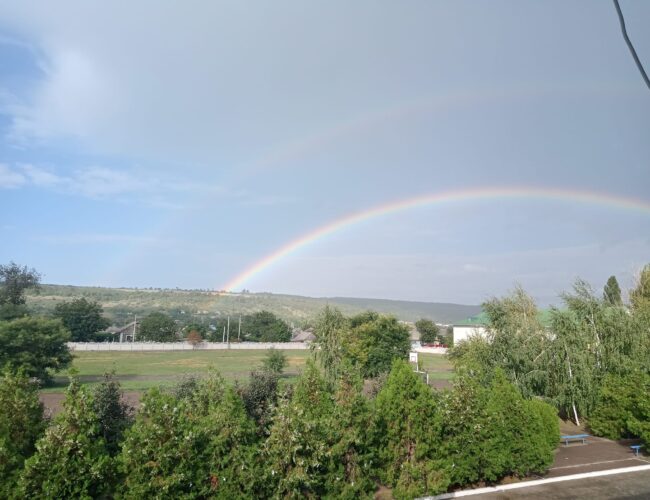Барви добра