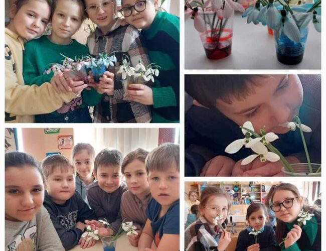 🌸Квіткова феєрія 🌸