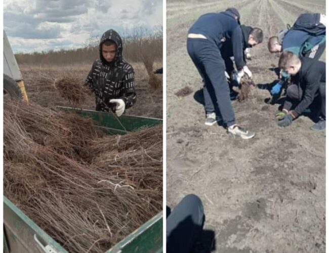 Справжній трудовий десант 8 , 9-А класів!