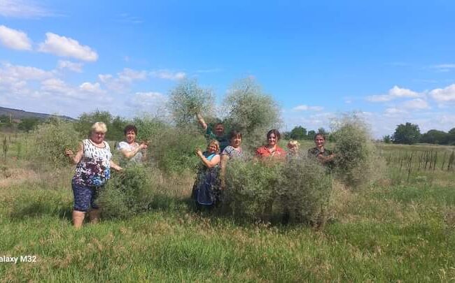Народження нової ідеї!