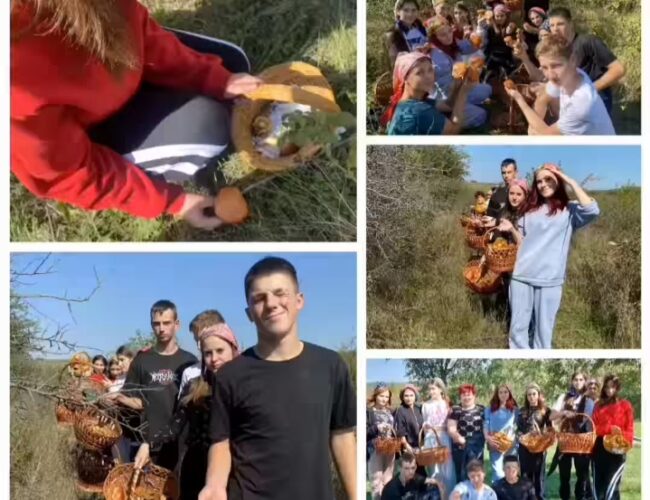 Щоб створити атмосферу позитиву, треба сходити до лісу!