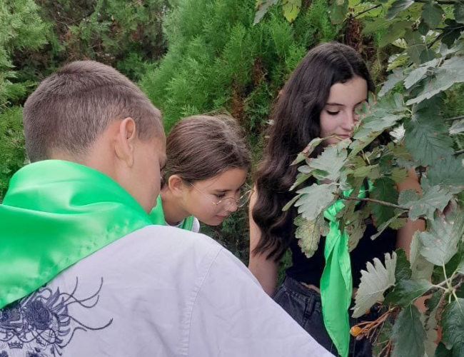 Зелена перерва в ЕКО- просторі ліцею “Лісова пісня”.