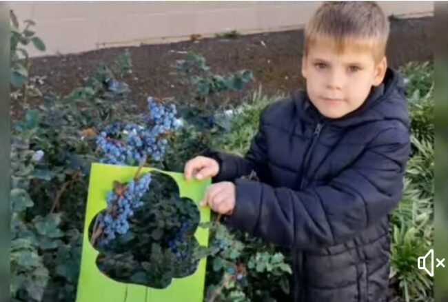 Осіння прогулянка на перерві учнів 1-Б класу!