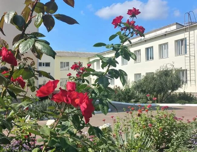 Передноворічні вітання переможцям ІІ етапу XXV Міжнародного конкурсу з української мови імені Петра Яцика!