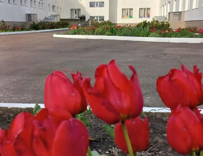 Прийом документів для зарахування учнів до першого класу!